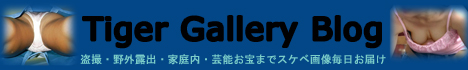 Tiger Gallery Blog